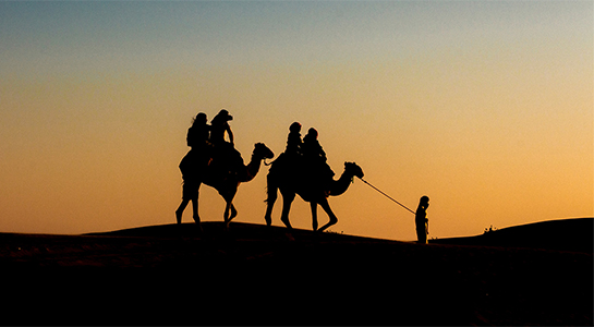 Camel Safari Evening Program